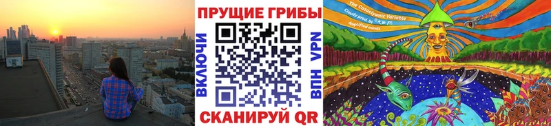 мориарти телеграм  Горячеводский  Псилоцибиновые грибы прущие грибы  KRAKEN зеркало 